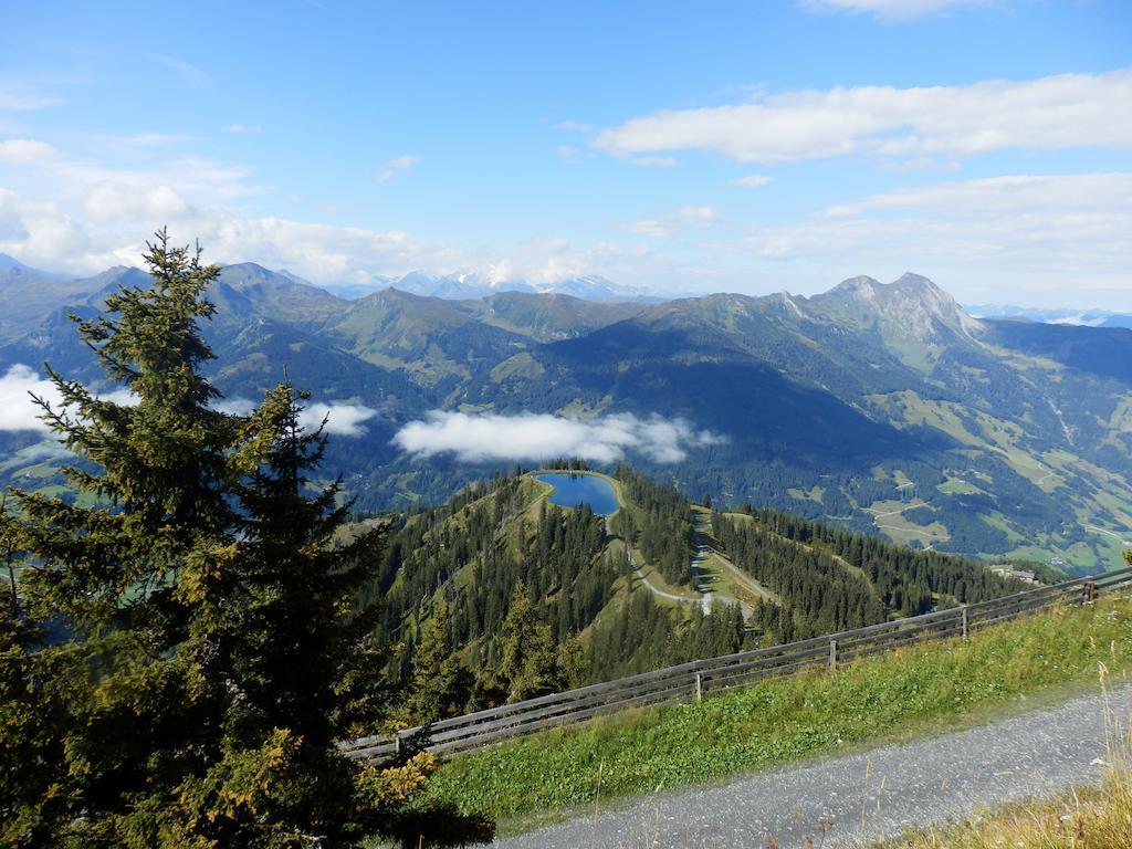 Winklers Gipfelblick Chalet, Inklusive Alpentherme - Ganzjahrig, Gasteiner Bergbahn - Nur Sommer 배드호프가스타인 외부 사진